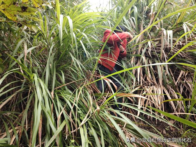 徒步牛栏坪赏高山草甸