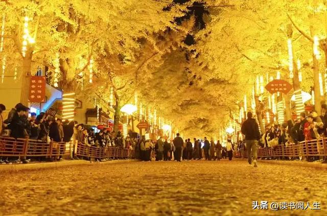 冯沙驼 ‖ 黄叶带火这座城