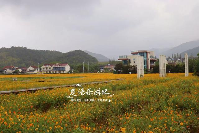 浙江宁波这片花海又火了，烟雨中更有诗画意境，周边民宿也很优美
