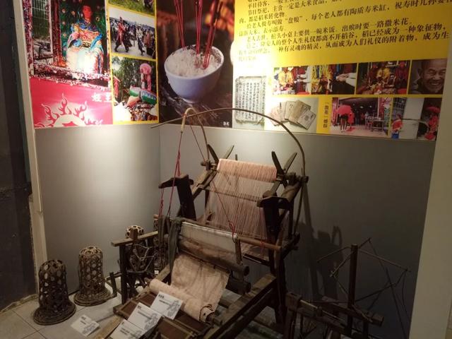 乐享田园·趣游南宁│稻香壮韵寻趣之旅