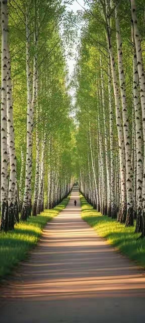 缁胯壊鎶ょ溂澹佺焊缇庡浘