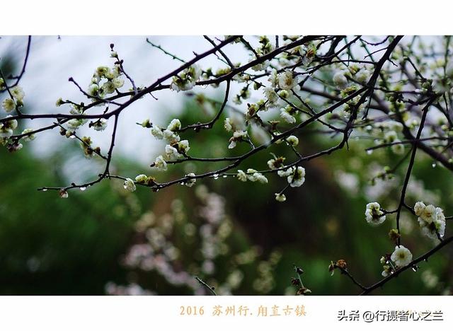 江南古镇行游影记（31）—甪直古镇（六）