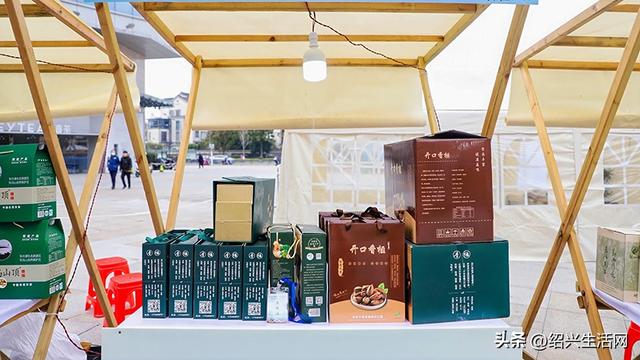2025绍兴盆景艺术展10月亮相嵊州！邀您共赴一场视觉盛宴