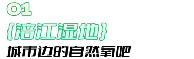 在射洪，你真的可以把日子过成诗~