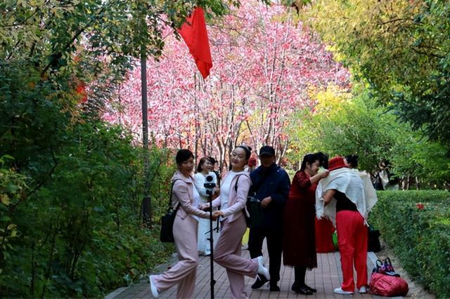 【组图】国庆赏秋正当时 佳木斯双拥公园“花式”迎游人