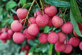 大象早报｜郑州高中三模中招二模时间敲定；五一返程重要提示图片