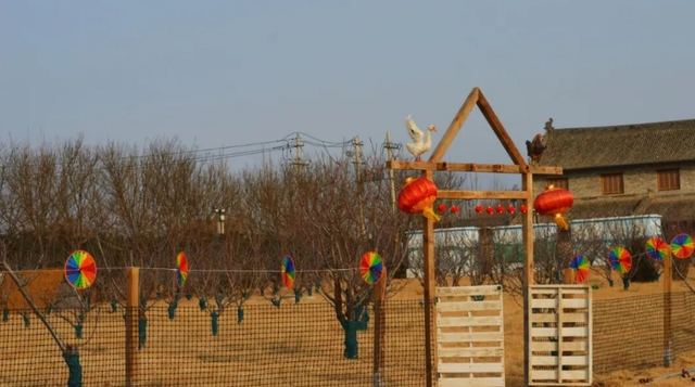 报！开封又上新了~