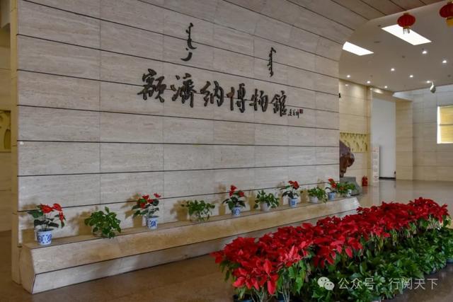 额济纳，额济纳，秋天必须要去额济纳，与金色胡杨林相遇