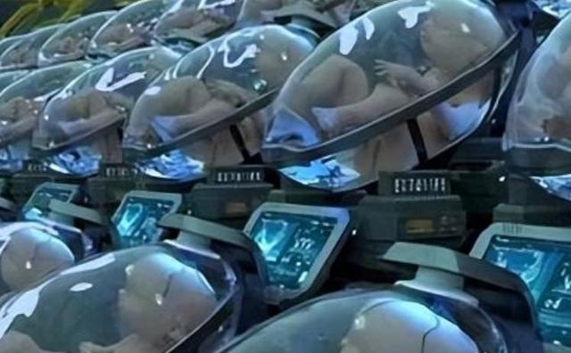 太离谱！“妻子机器人”迅速售空，与人造子宫结合或将淘汰女性？
