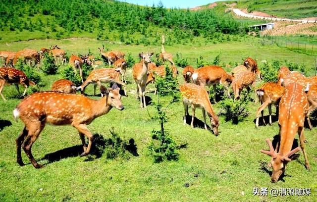 嗨玩“双节”！国庆中秋假期渭源旅游攻略来喽