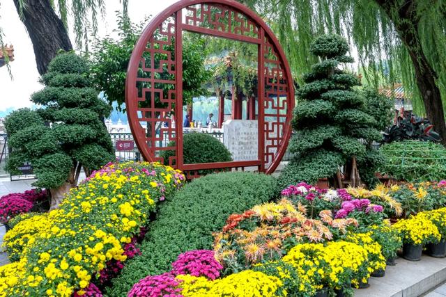 “花开北京·菊韵金秋” 2025北京菊花文化节在北海公园启幕 | 动态