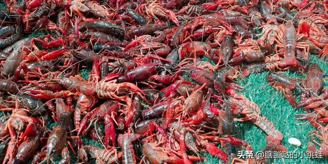 小龙虾需要煮多久可以杀死寄生虫