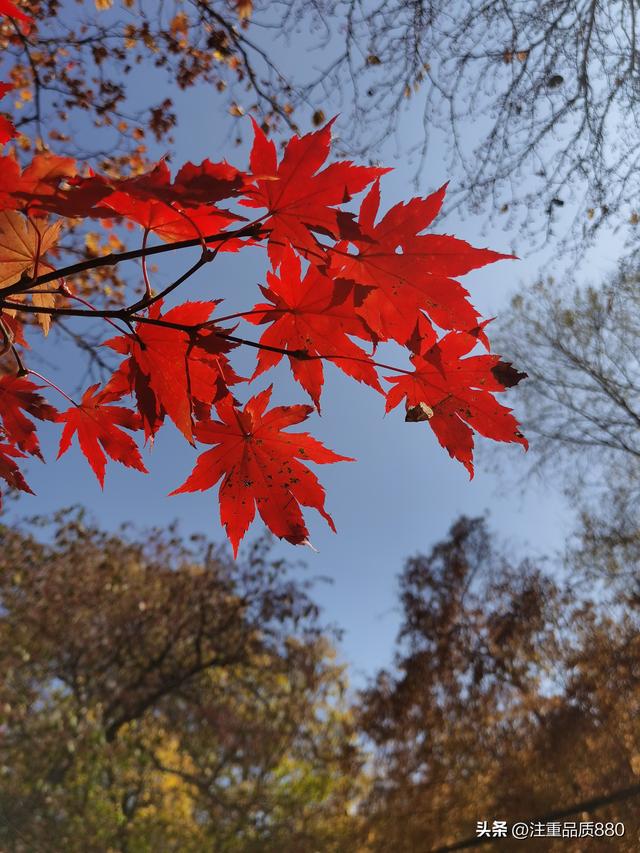 据我实际体验，冬天不宜自驾游