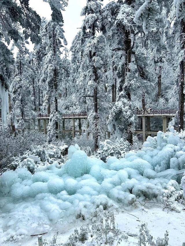 不说了，我要去四川玩雪了！