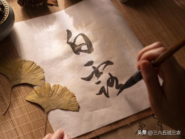 强台风“剑鱼”锁定暴雨大暴雨，多省出现40℃高温，还要热多久？