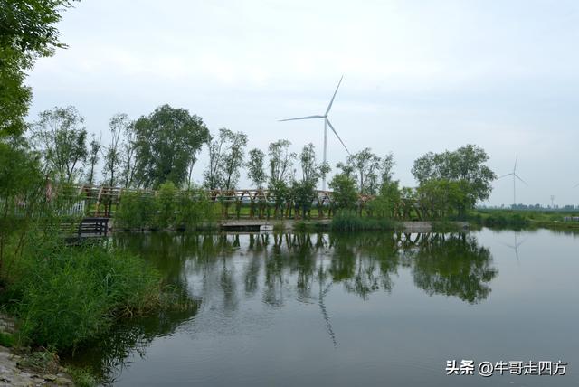 宝坻小辛码头：古渡辛埠藏雅韵，漕声千载忆根源