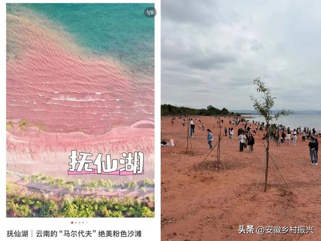 第一批抵达网红景点的游客，已被诈骗......