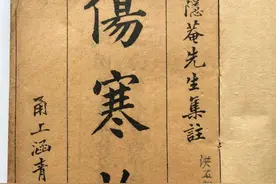 中医各大派别，你知道多少，我正从经方派往扶阳派发展。图片