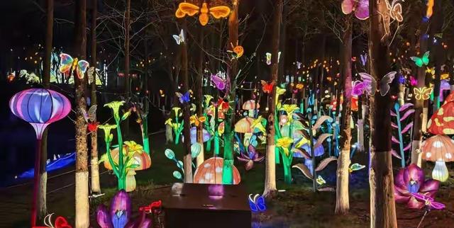 万马奔腾贺新岁！武汉园博园灯会今日亮灯，超全攻略速看！