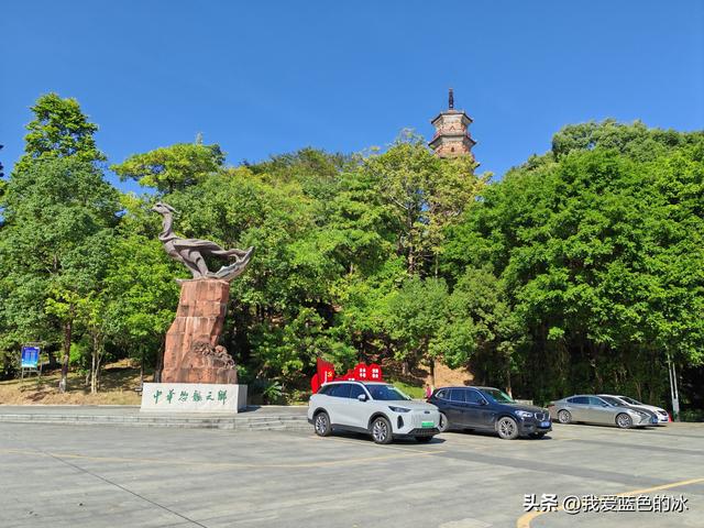 来河源才知道河源是中国恐龙之乡，挖掘出的恐龙蛋超级多