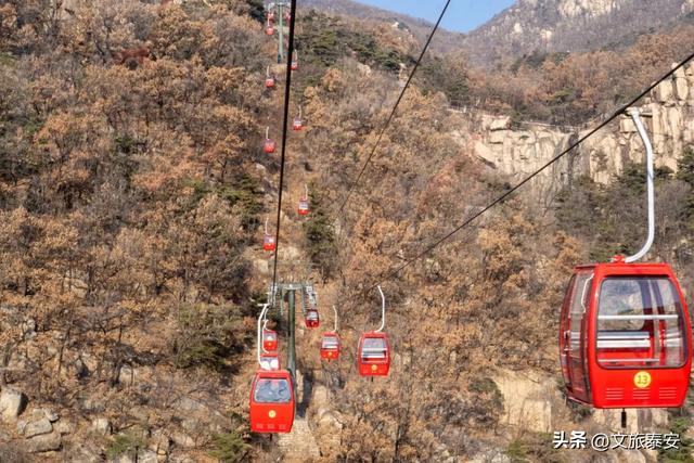 元旦游新甫,追光迎新福!终于能和好友一起撒欢看日出啦~