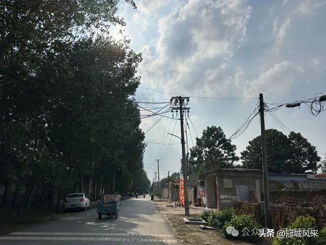 冠县乡韵·辛集镇丁刘八寨