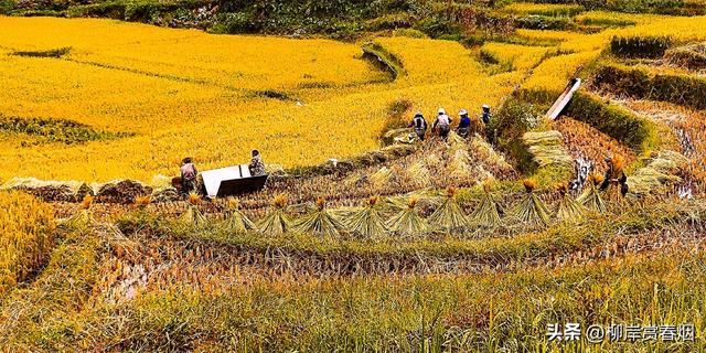 【国庆推荐】元阳梯田·哈尼人写给大地的诗行