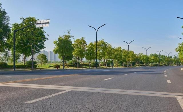 春节旅游成绩单出炉！青岛凭什么成为全国 “顶流”？