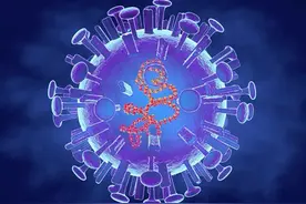 5个防治流感的免疫增强药，一文总结：图片