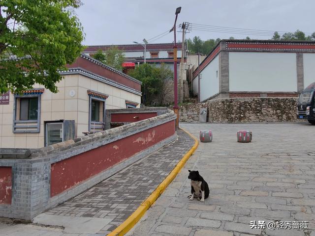 夏都西宁，最值得游玩的景点推荐