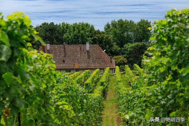 欧游杂记（2）‖ 日内瓦湖畔的美丽：从日内瓦到蒙特勒
