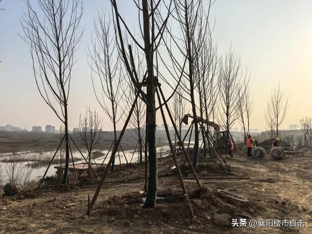 即将开放！盼了N年的连山湖公园，这回真稳了！