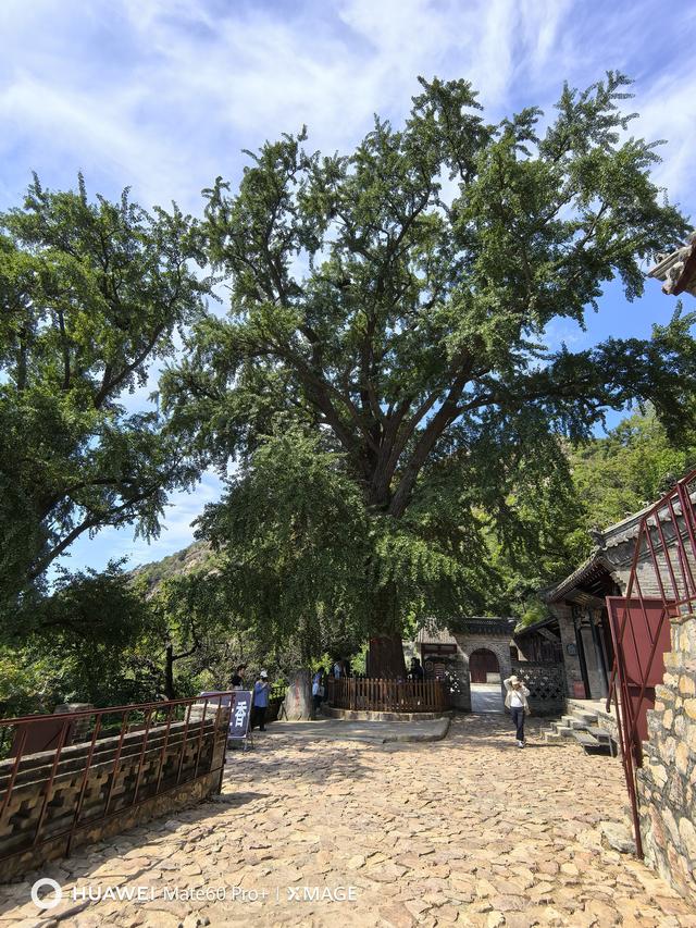 先爬大孤山，再登大鹿岛