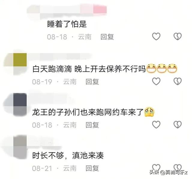 惊！滇池里惊现网约车，究竟咋回事？
