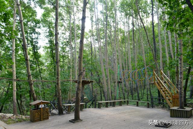 河北百草畔（上）：风动孤石悬险韵，蚁巡深岭蕴生机
