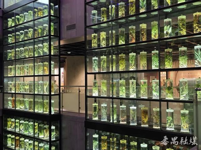 番禺这条「宝藏路线」，让你重新爱上Citywalk！