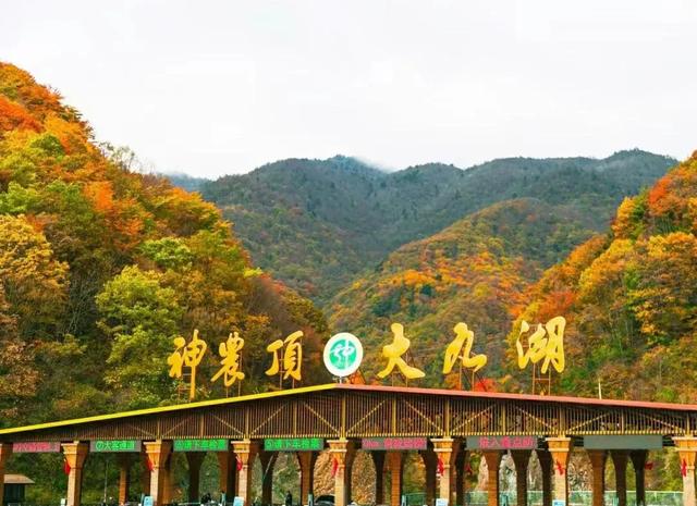湖北神农架金秋：这个被低估的绝美秘境，正在成为北方人的新宠