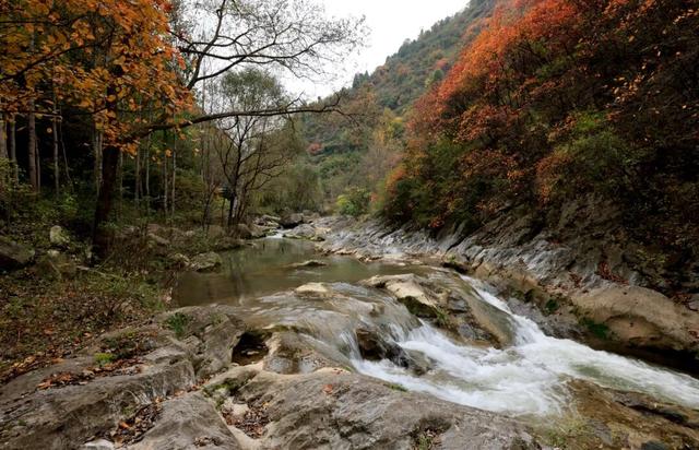 这才是秋天该有的样子~