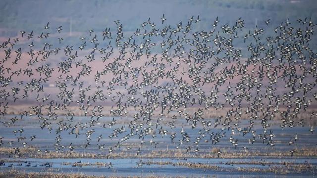 被一阵风吹来了大凉山，不想离开了！