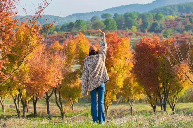 冲！星星湖营地秋色已上线，全攻略奉上～