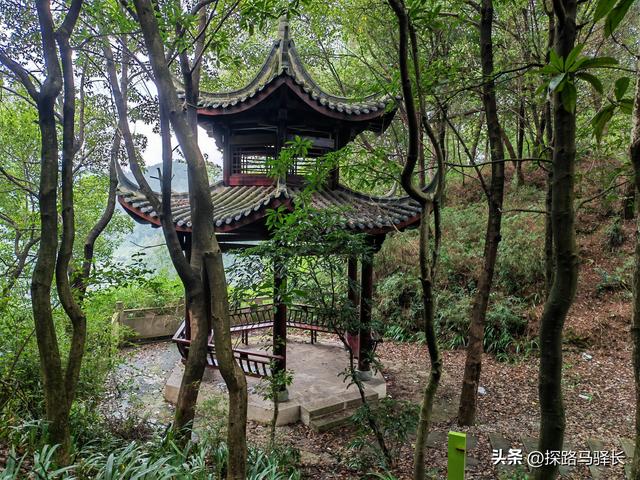 重庆主城藏了条“摆烂”步道：公交直达，轻松原始，就是有点费嘴