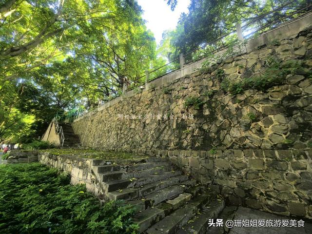 惠州“最后”的古城墙，完好的300多米，榕树穿墙而生，像留城魂
