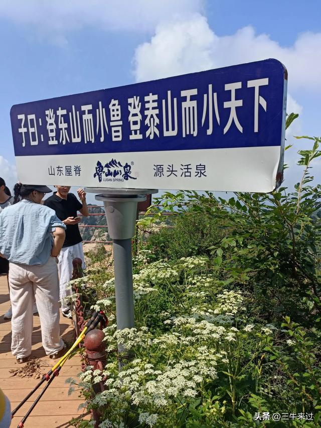 无为在歧路，避暑去鲁山