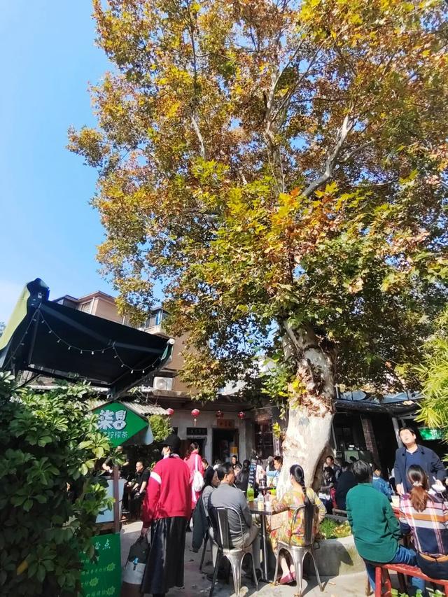 @长沙爸妈：星城十月，带娃去看作家笔下的秋天