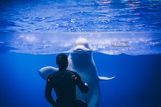 春节宝藏旅行地大赏：全家同行，让冬日暖意不留白