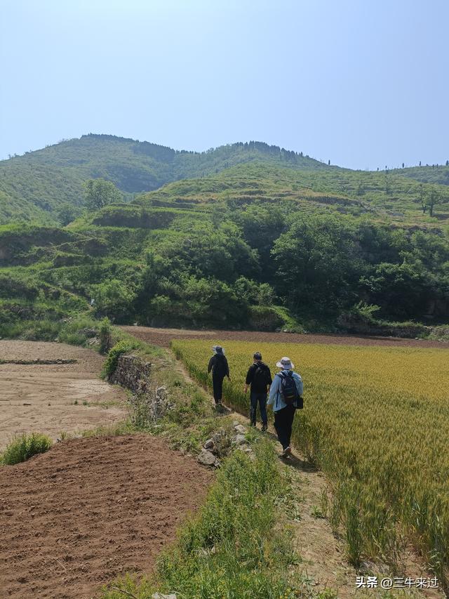 无为在歧路，2025之经行