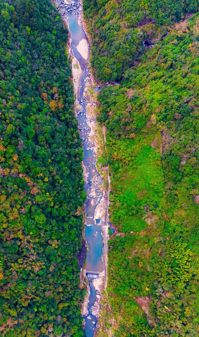温州这个地方，藏着一群神秘“守泉人”