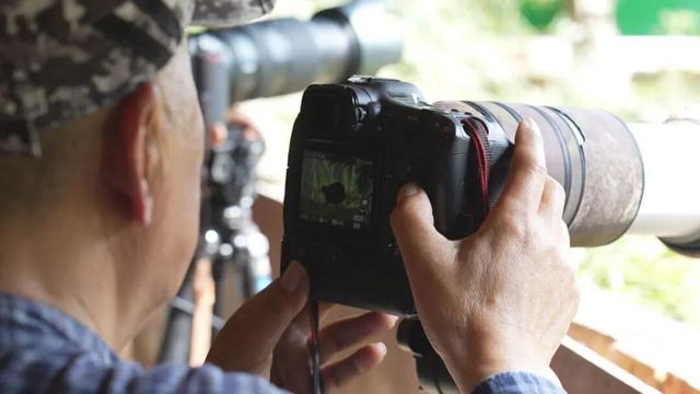 鸟鸣致富路—四川老君山国家级自然保护区奏响屏山文旅融合新乐章