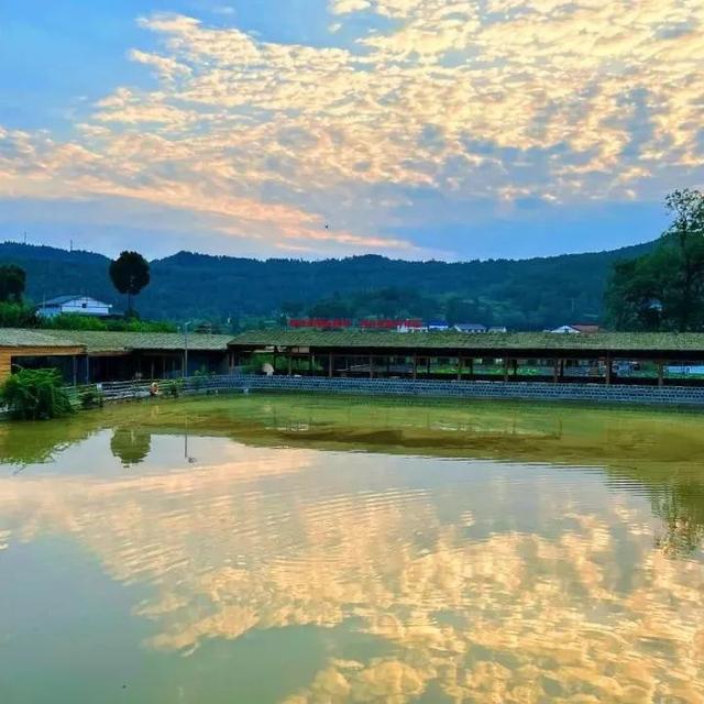 大美广元 邀您来宿 | 10家“最美民宿”新鲜出炉！住进山水里的夏天