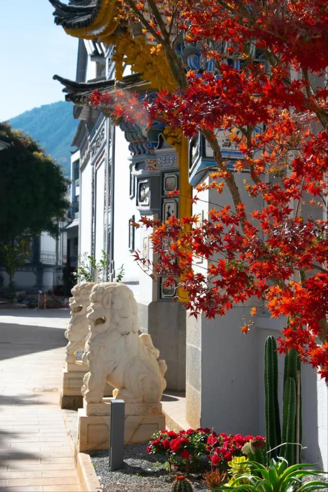 70年时光流转，重遇洱海宾馆